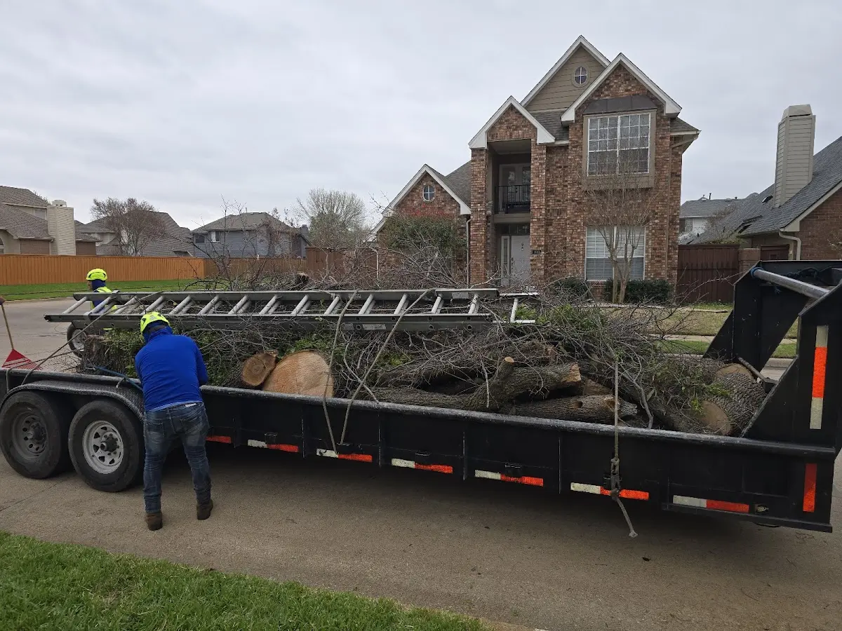 Expert Tree Fertilization with proper safety equipment in Elwood